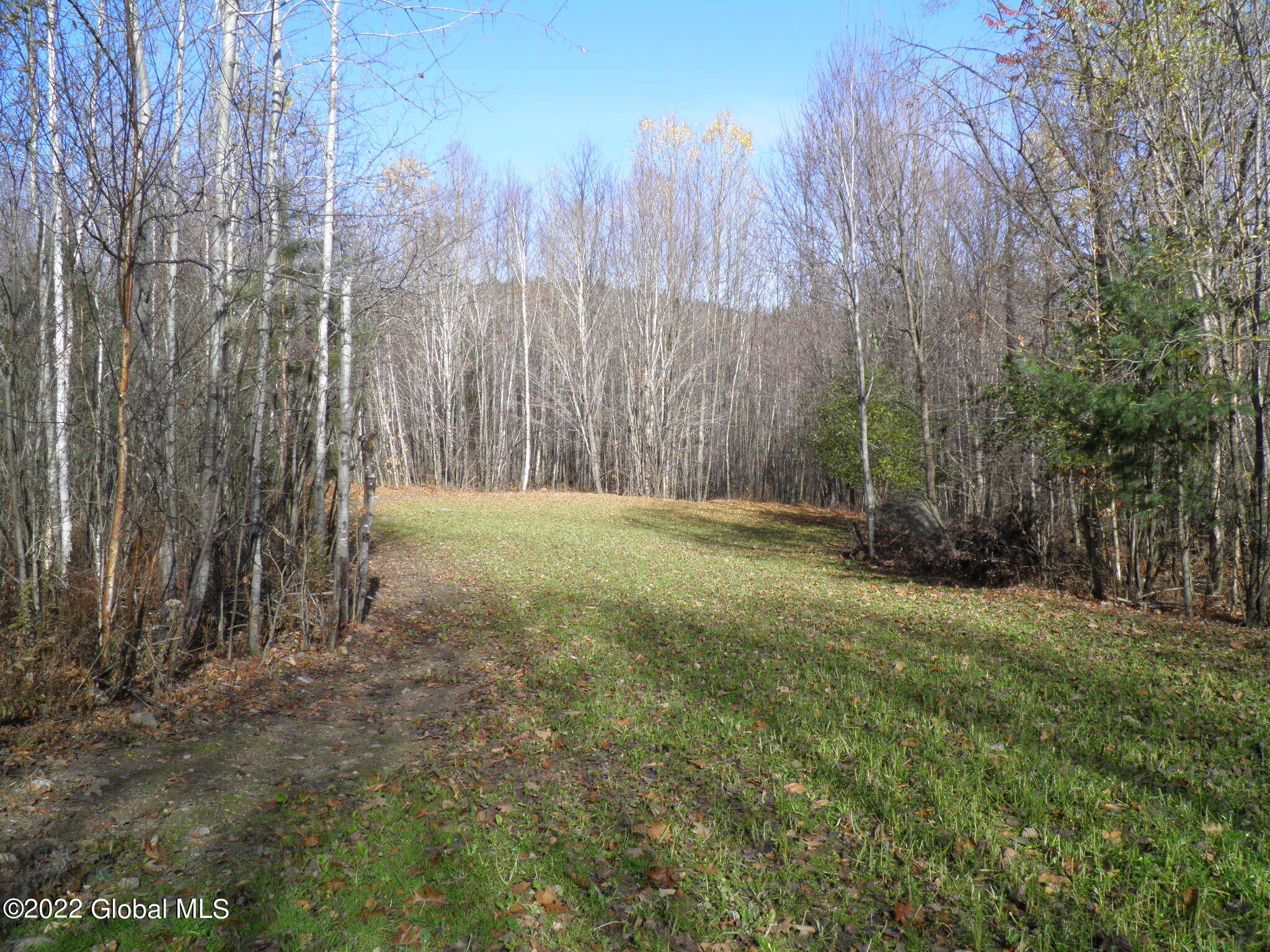 L1 Mud Pond Road Peru, NY 12972 - Photo 54 of 100 54 One of Several Food Plots