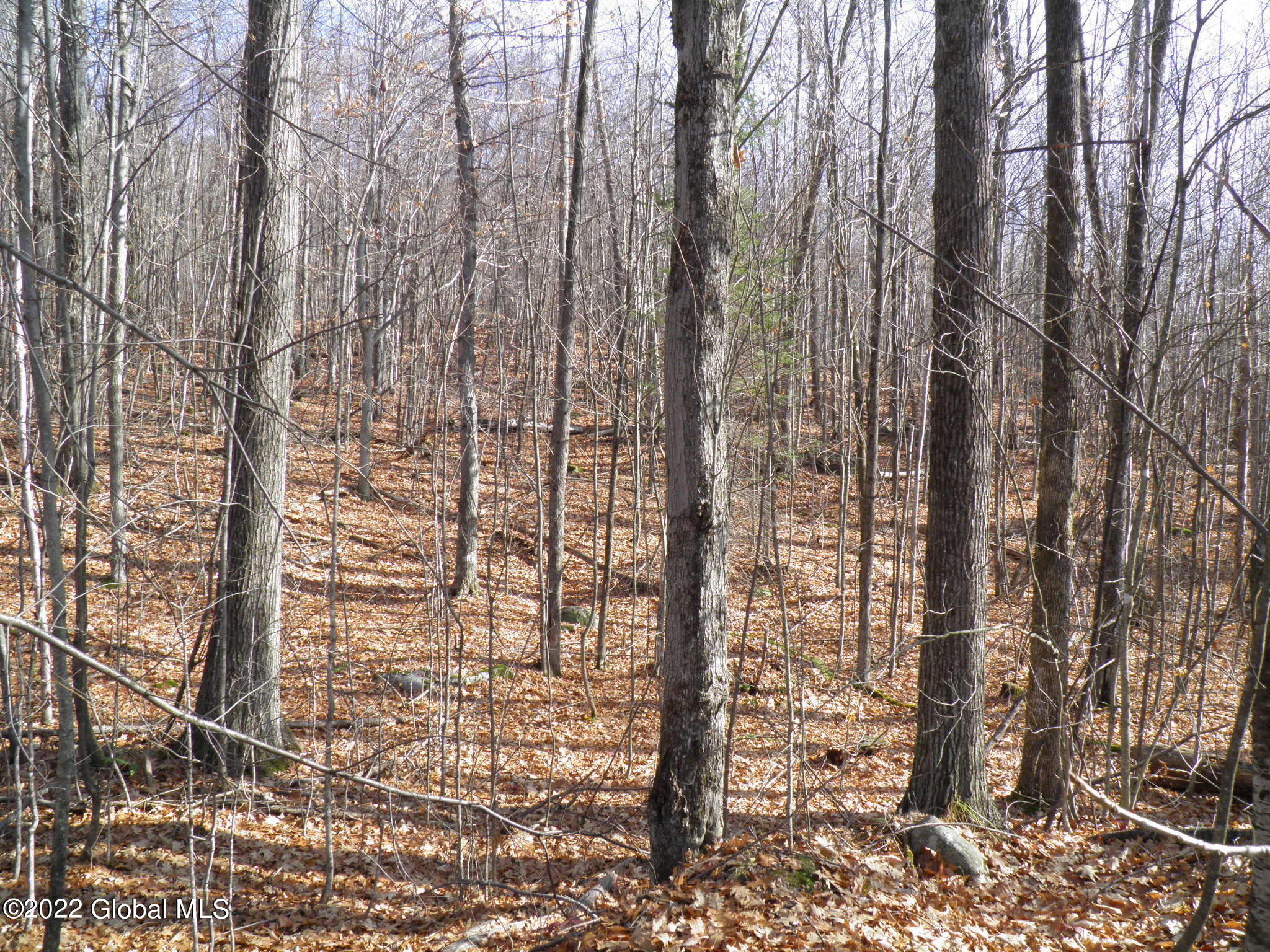 L1 Mud Pond Road Peru, NY 12972 - Photo 60 of 100 60 Maples and Oak