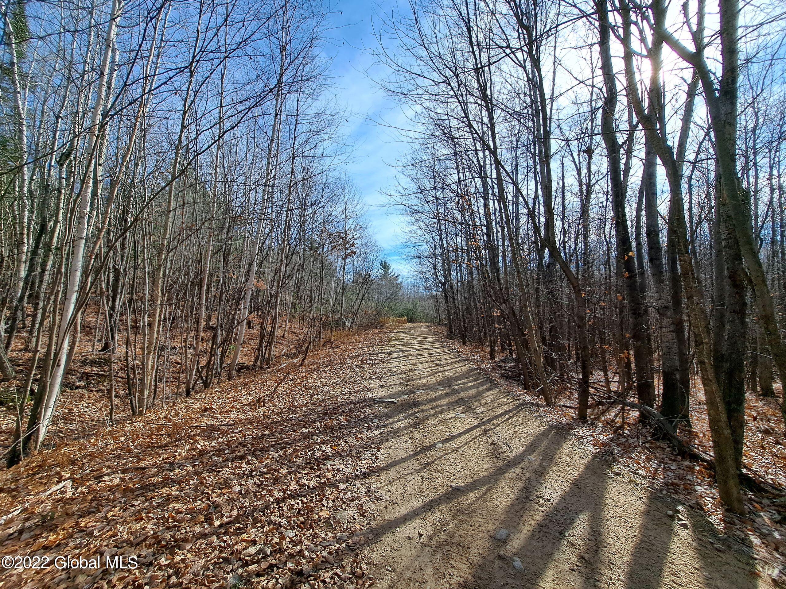L1 Mud Pond Road Peru, NY 12972 - Photo 73 of 100 73 Truck Road