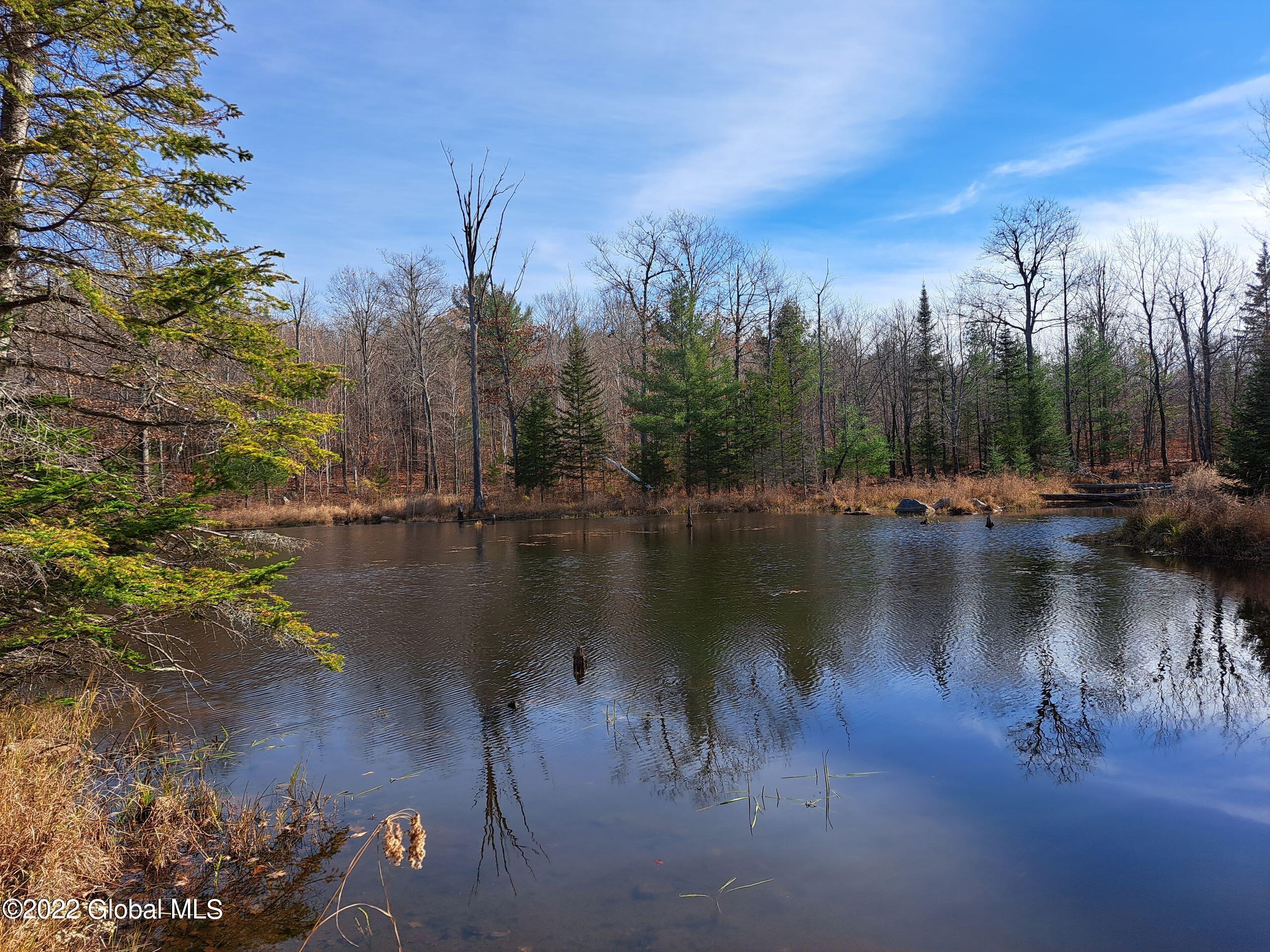 L1 Mud Pond Road Peru, NY 12972 - Photo 75 of 100 75 Beaver Pond
