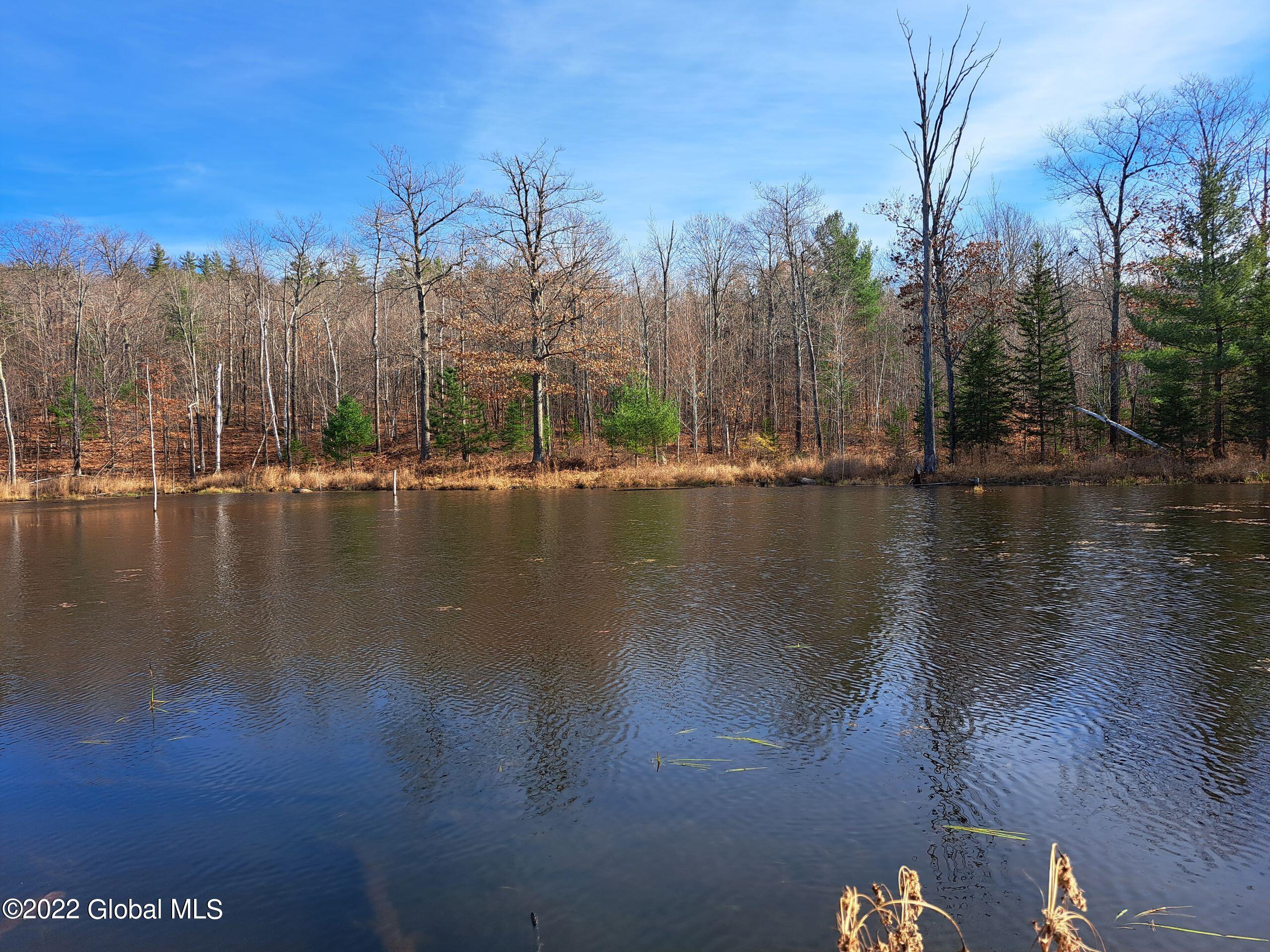 L1 Mud Pond Road Peru, NY 12972 - Photo 77 of 100 77 Beaver Pond
