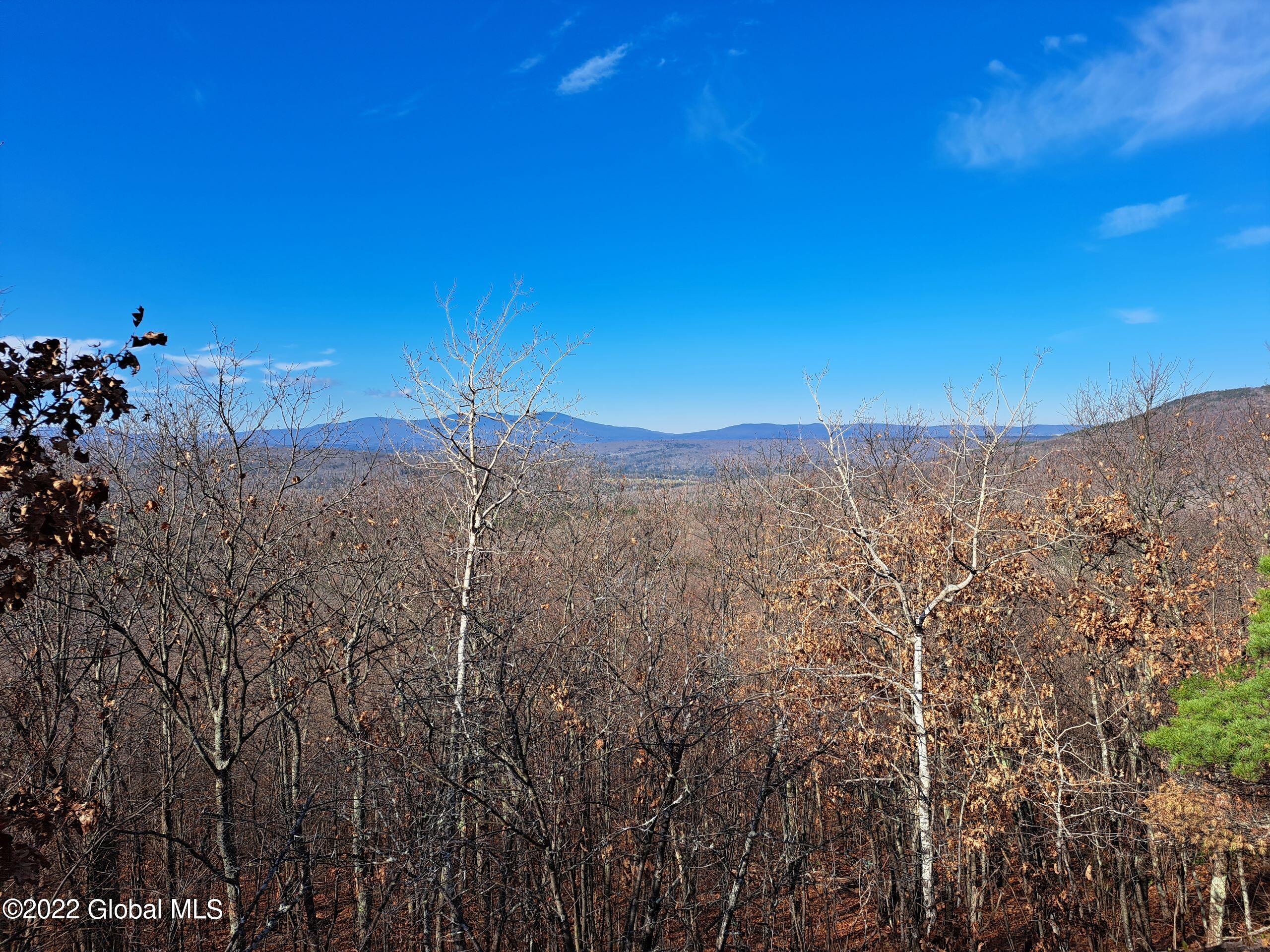 L1 Mud Pond Road Peru, NY 12972 - Photo 84 of 100 84 View from Road Near Pinnacle