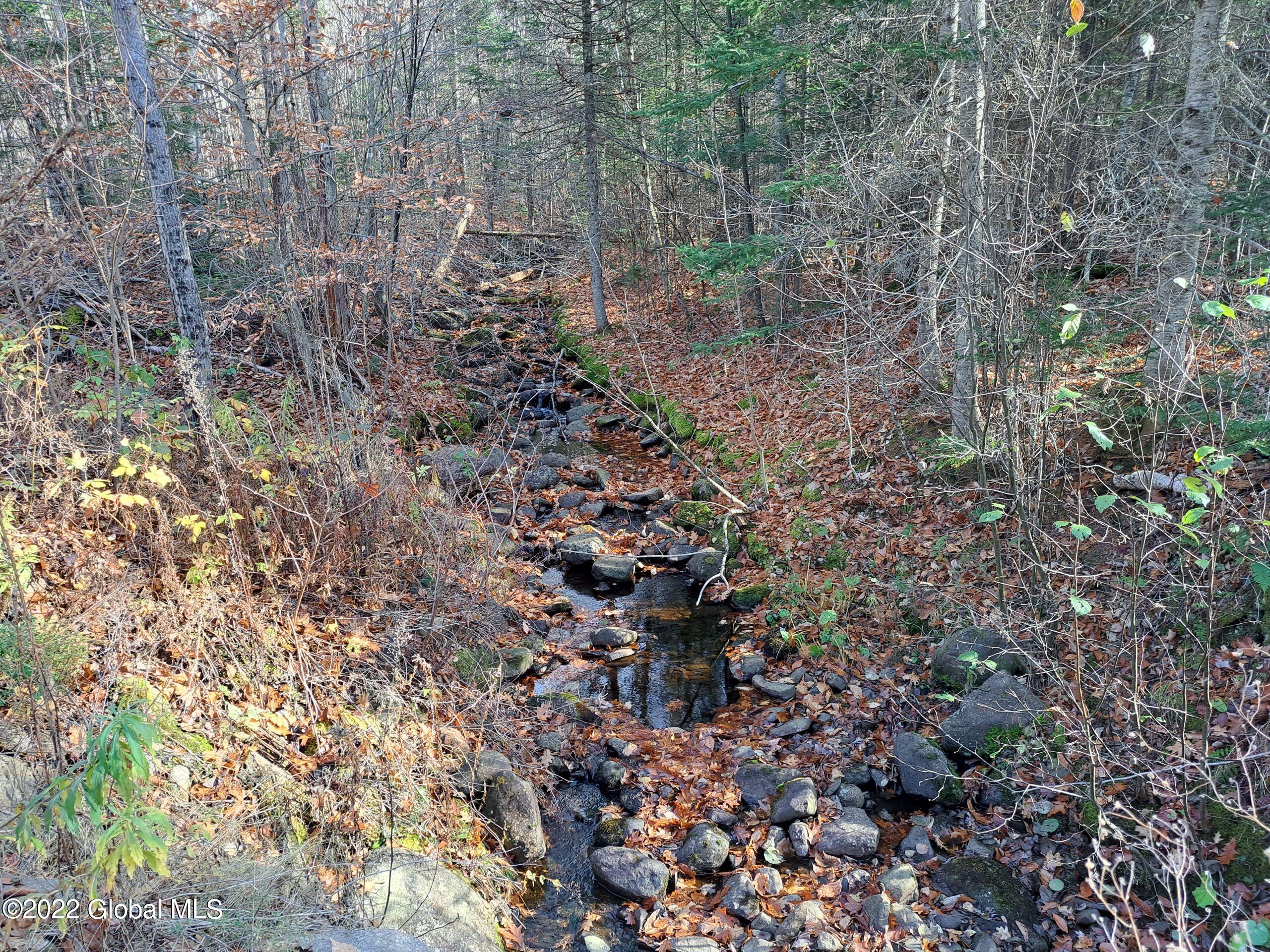L1 Mud Pond Road Peru, NY 12972 - Photo 87 of 100 87 Salmon River