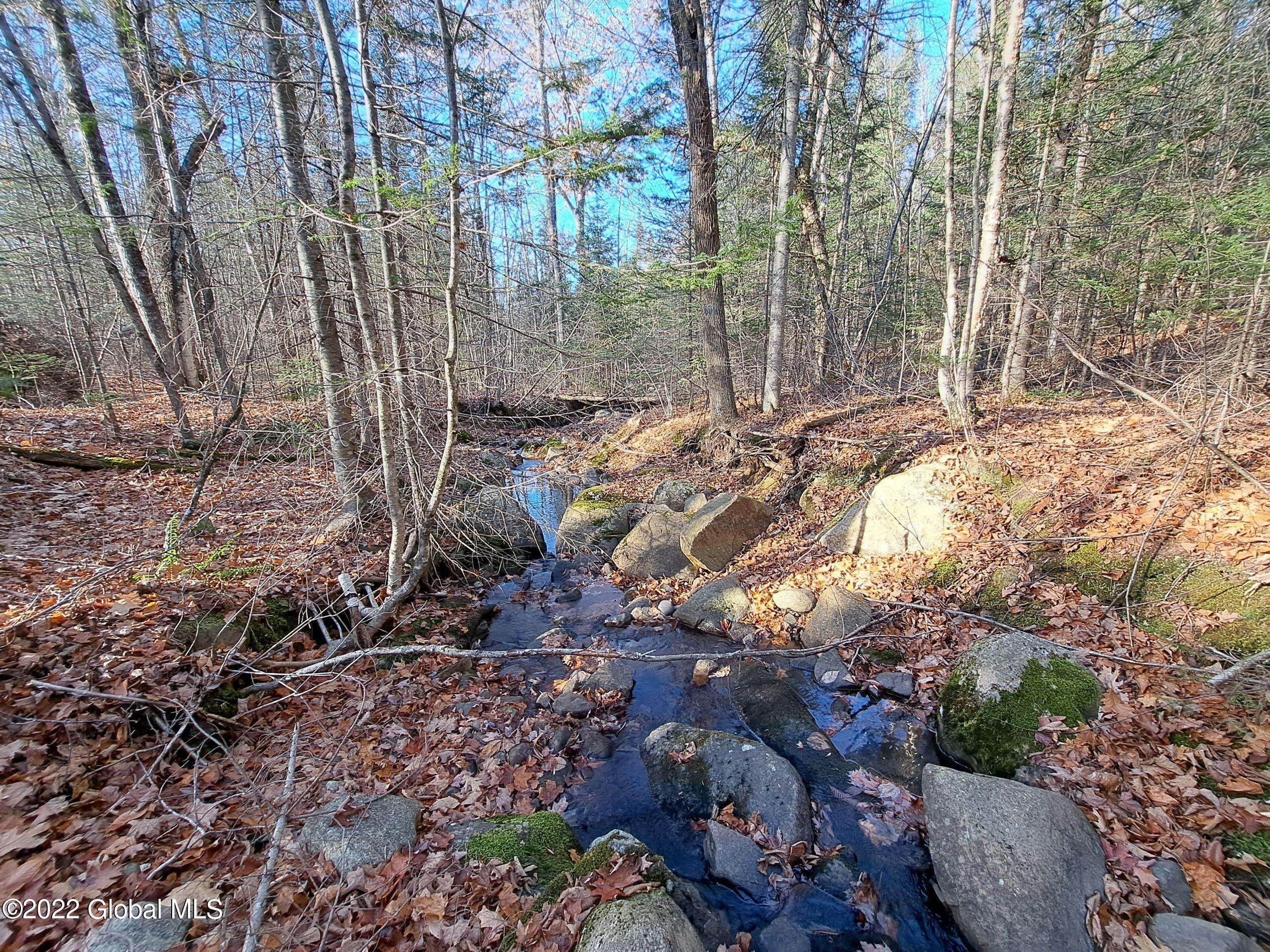 L1 Mud Pond Road Peru, NY 12972 - Photo 99 of 100 99 Salmon River