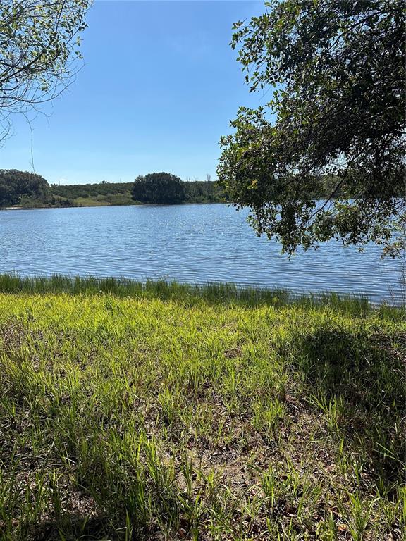 Saltsdale Road Umatilla, FL 32784 - Photo 1 of 1 a view of yard with outdoor space