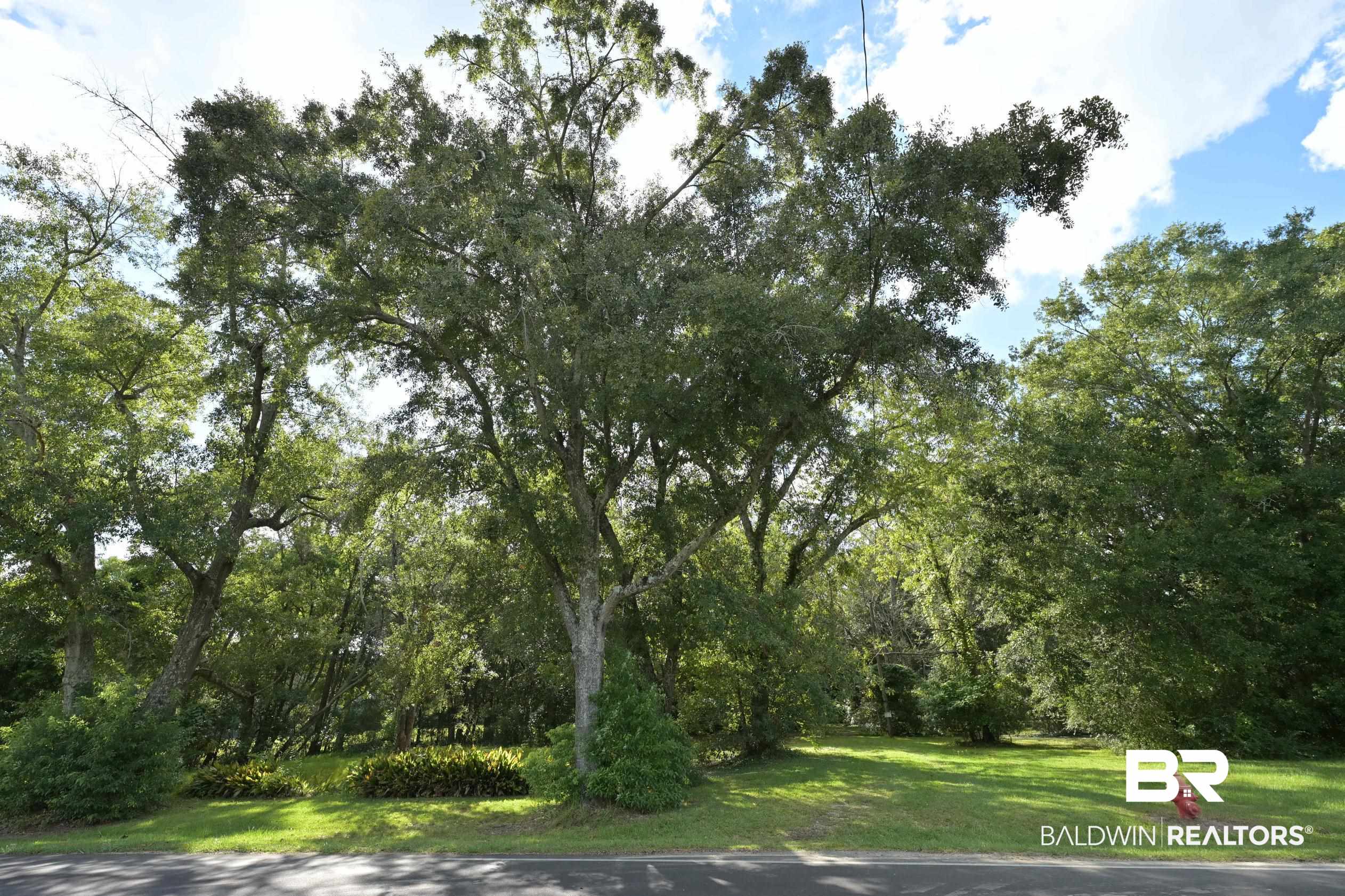 314 South Cedar Street Foley, AL 36535 - Photo 9 of 41