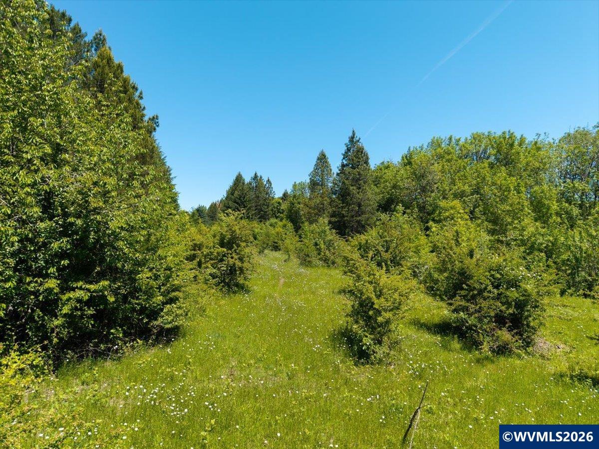 Lot 403 Southwest West Hills Road Corvallis, OR 97333 - Photo 8 of 8