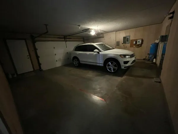 a view of a yard with a large tree