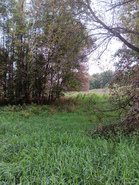 0 Barnes Road Mayville, MI 48744 - Photo 6 of 10