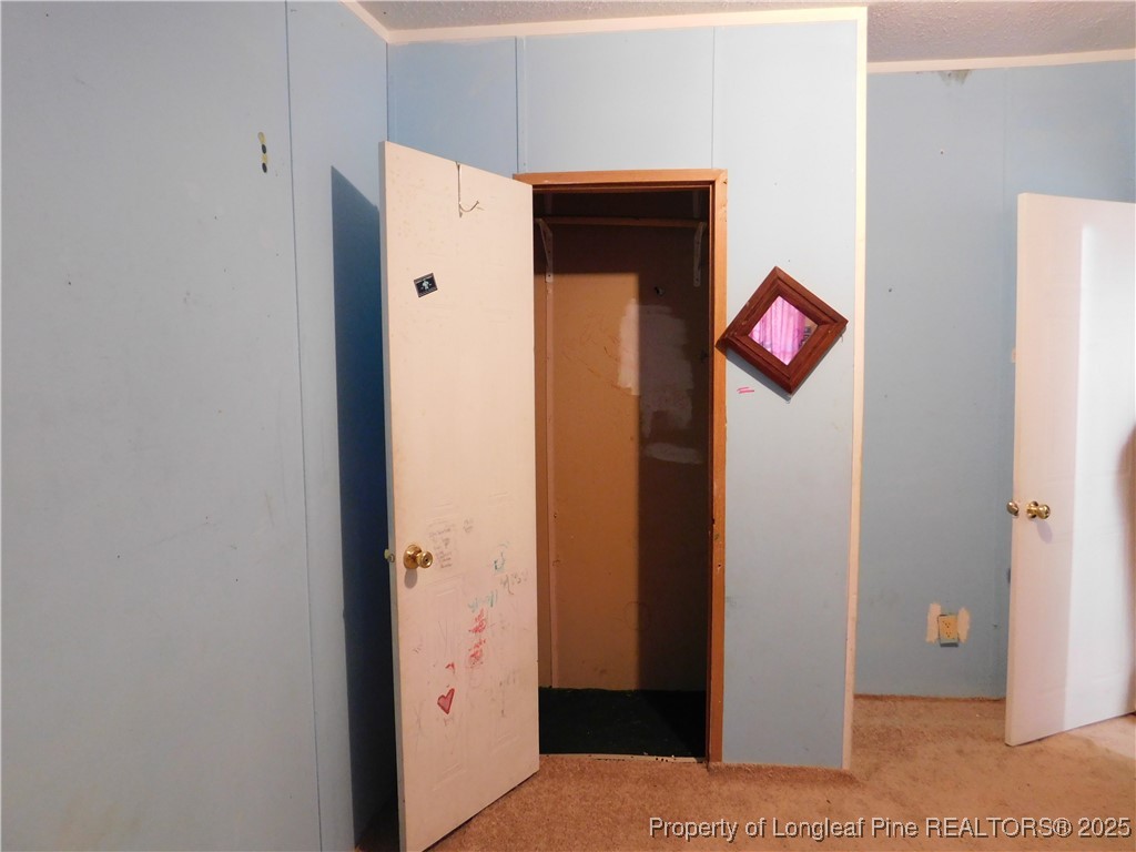 267 Ed Collins Lane Clinton, NC 28328 - Photo 25 of 45 a view of a hallway with wooden floor and a cabinet