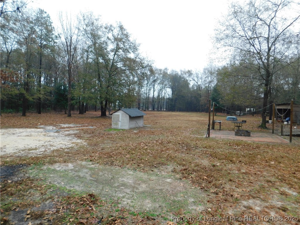 267 Ed Collins Lane Clinton, NC 28328 - Photo 42 of 45 a backyard of a house with lots of green space