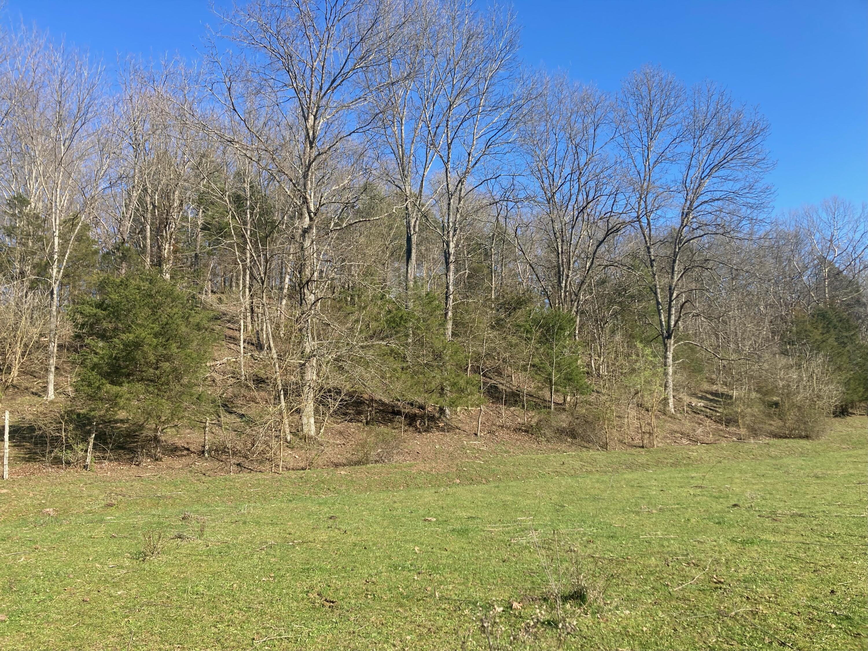 1026 Crowe Ridge Road Winchester, KY 40391 - Photo 11 of 17 IMG_3487