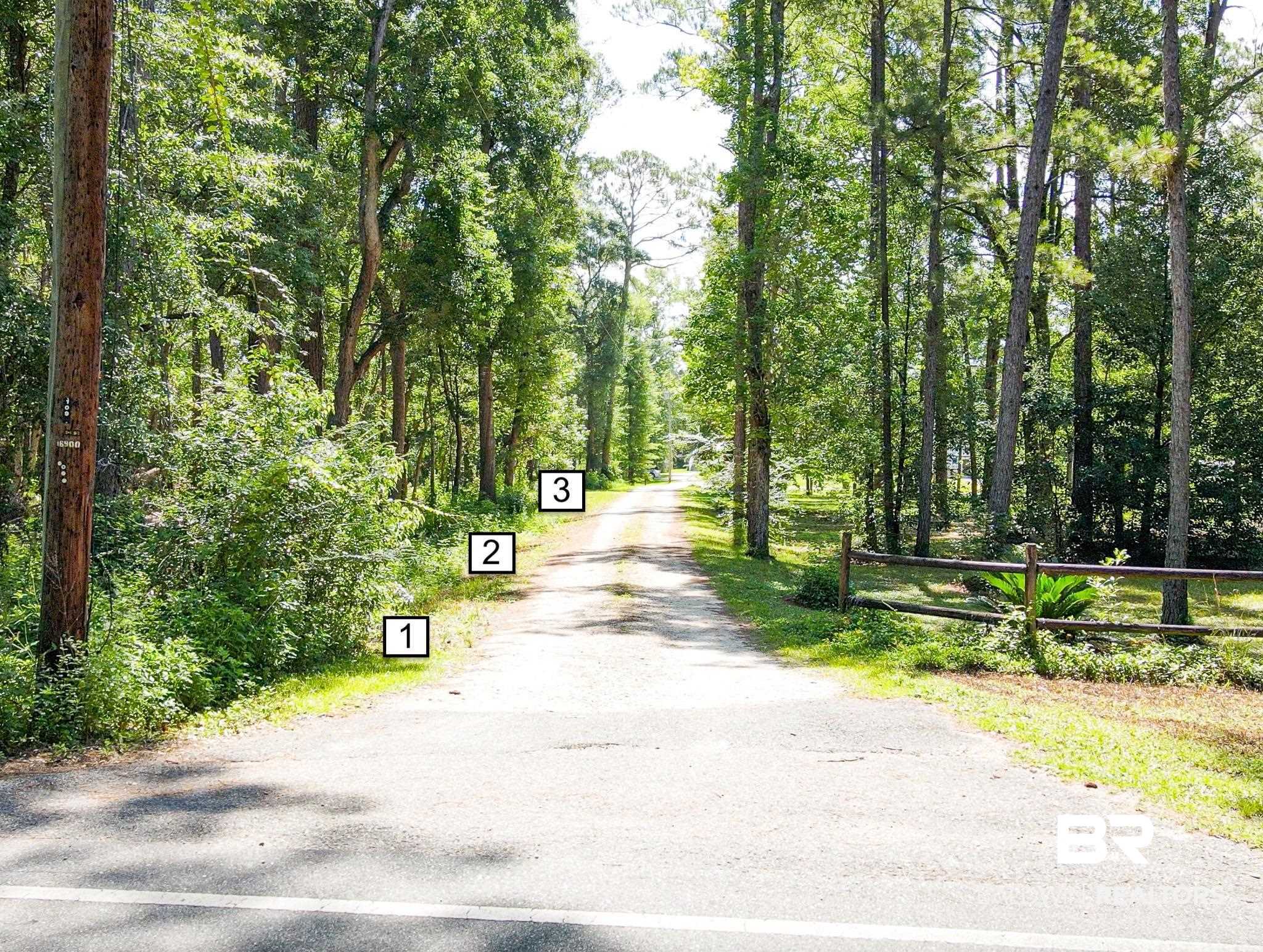0 Ferry Road Fairhope, AL 36532 - Photo 3 of 7 View of asphalt road with a forest view