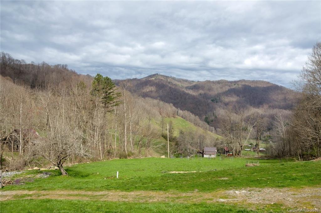 835 Secluded Valley Road Marshall, NC 28753 - Photo 4 of 21 a view of grassy field with mountain
