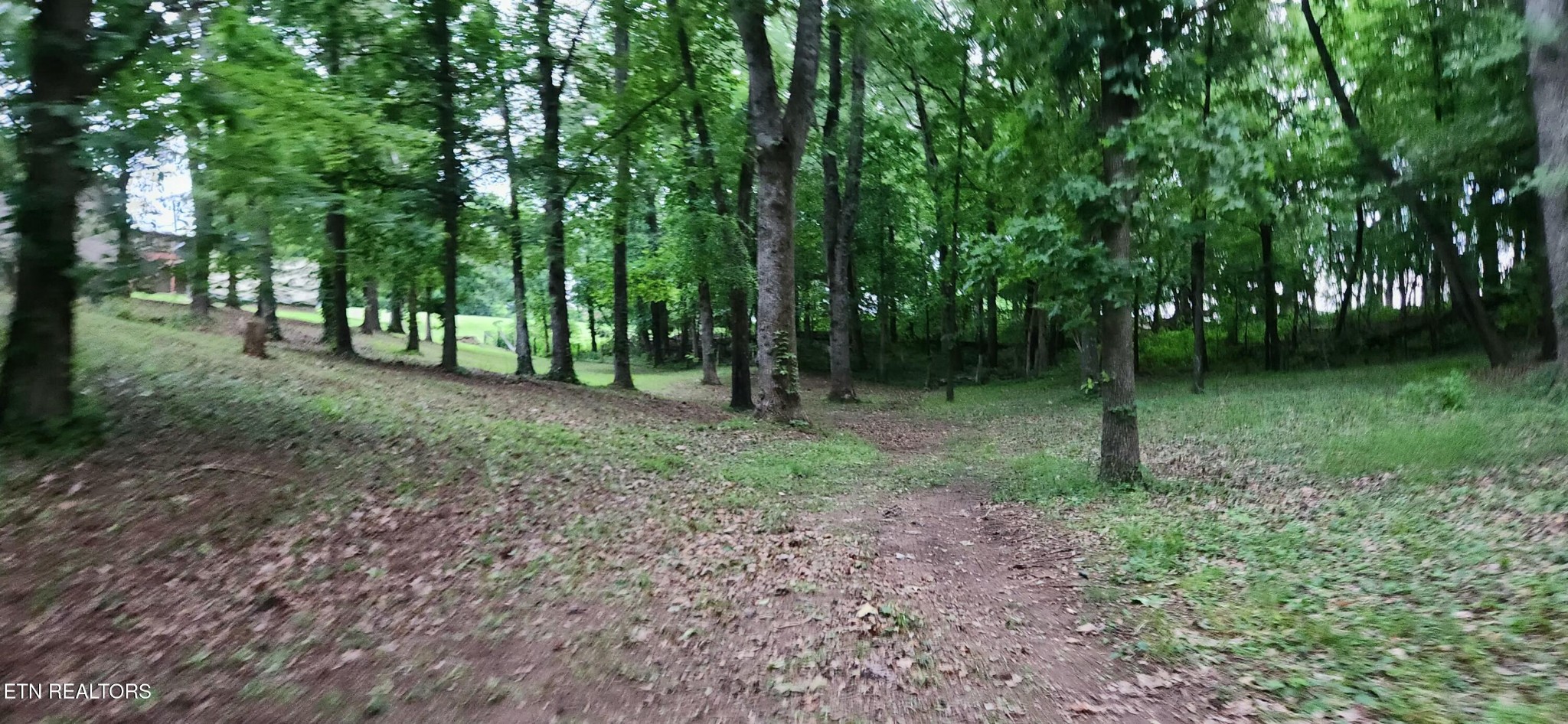 11121 McKinney Road Mascot, TN 37806 - Photo 13 of 23