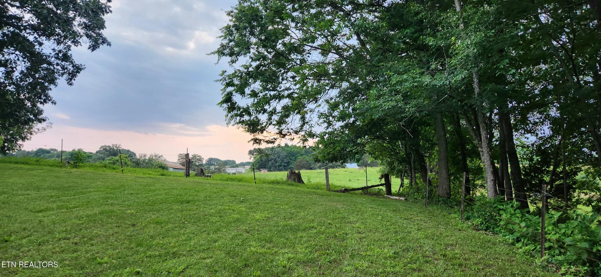 11121 McKinney Road Mascot, TN 37806 - Photo 3 of 23