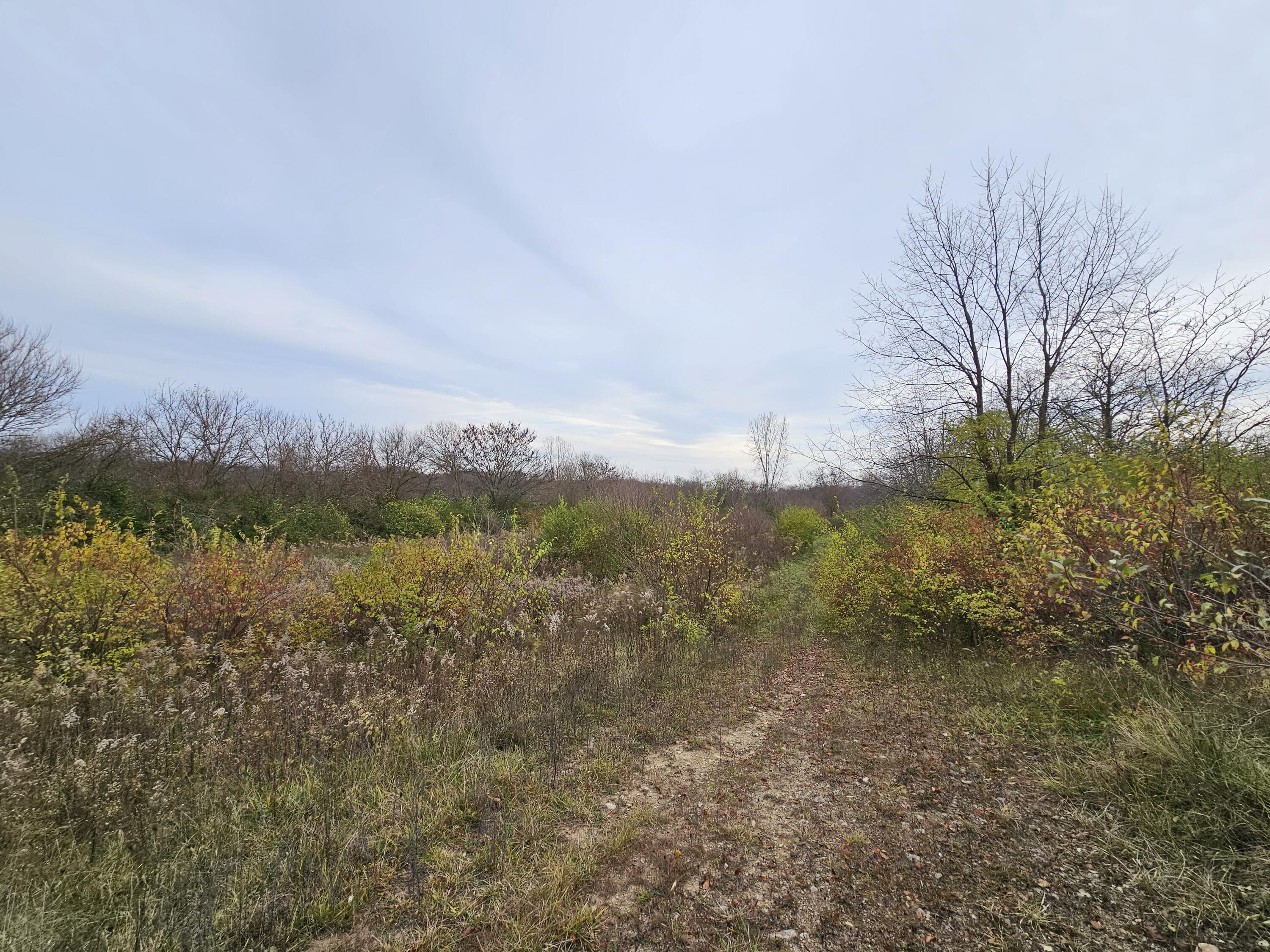 5403 Rosedale-Milford Center Road London, OH 43140 - Photo 7 of 13
