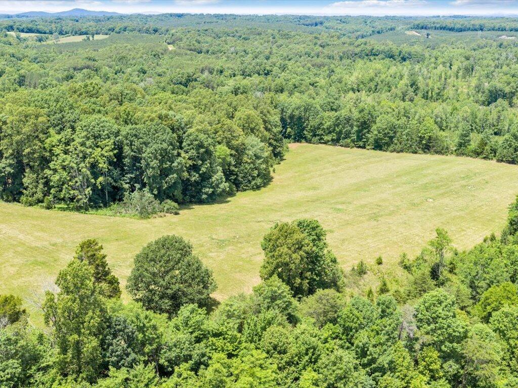 247 Powell Road Ridgeway, VA 24148 - Photo 85 of 90 85-DJI_20260531131350_0021_D