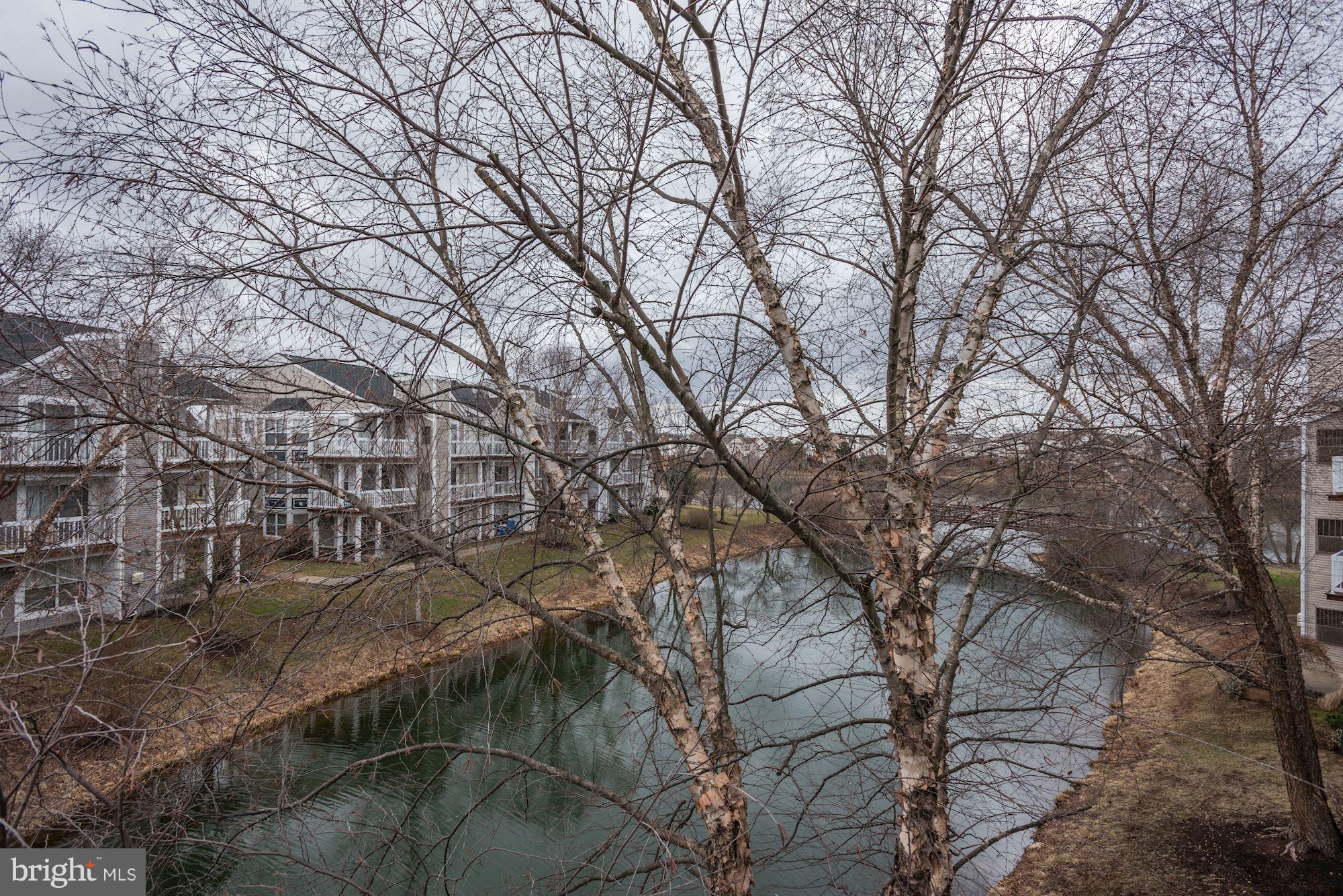 20579 Snowshoe Square, Unit 301 Ashburn, VA 20147 - Photo 21 of 30 a backyard of a house with lots of green space