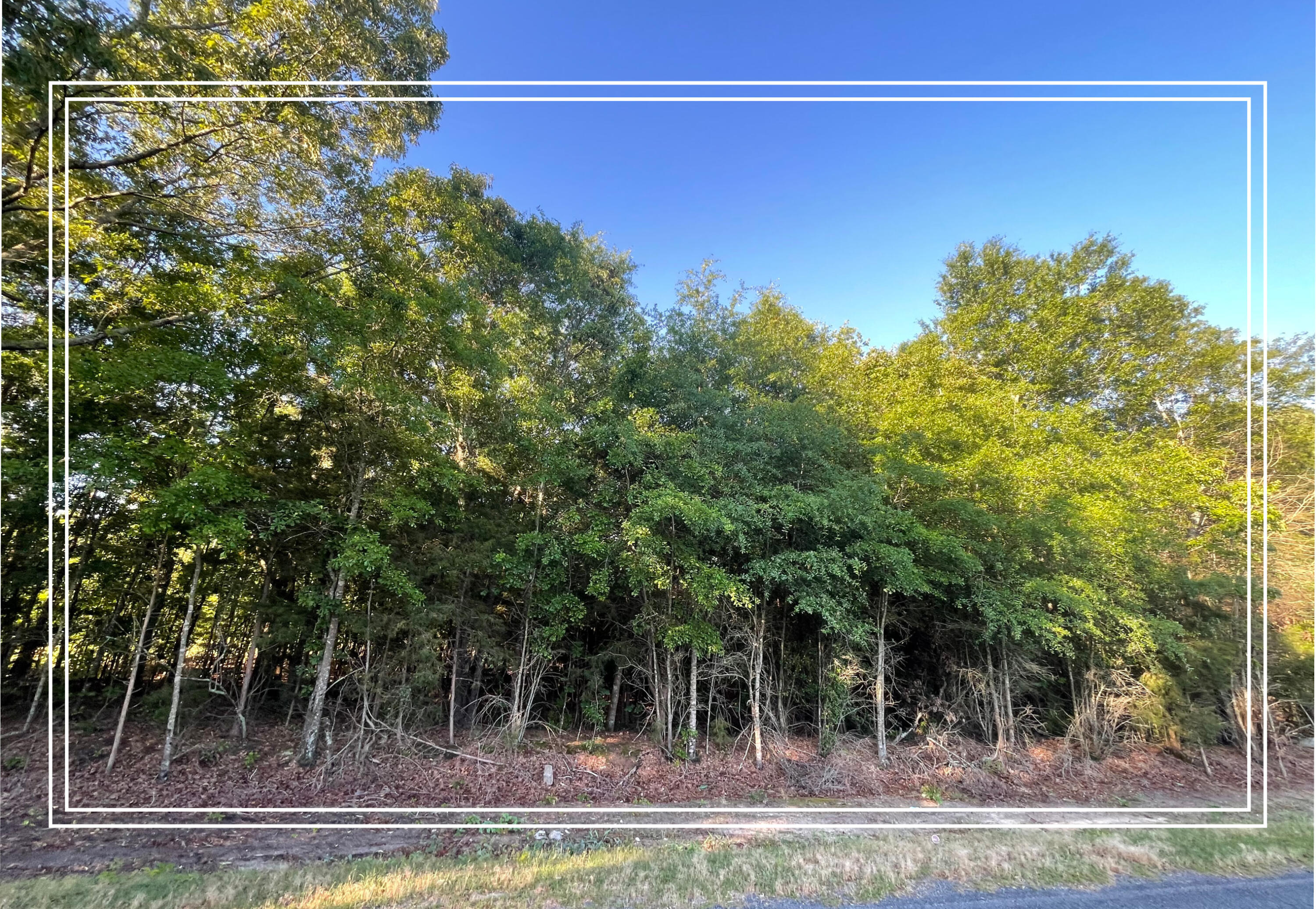 Lot 4 Biscayne Road Aiken, SC 29803 - Photo 1 of 1 MLS FRONT!