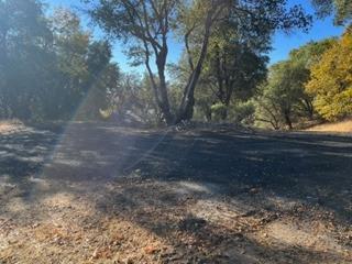 0 Gentle Way North Fork, CA 93643 - Photo 3 of 15 a view of dirt yard with a large tree