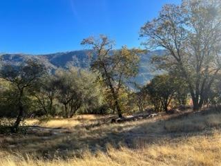 0 Gentle Way North Fork, CA 93643 - Photo 5 of 15 a view of a yard with a tree