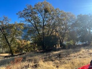 0 Gentle Way North Fork, CA 93643 - Photo 7 of 15 a view of a yard with a tree