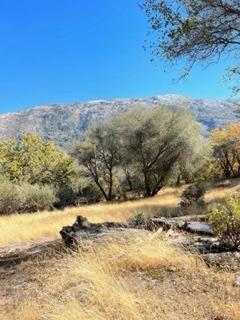 0 Gentle Way North Fork, CA 93643 - Photo 9 of 15 a view of a yard with a mountain