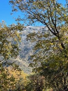 0 Gentle Way North Fork, CA 93643 - Photo 10 of 15 a view of a forest with a tree