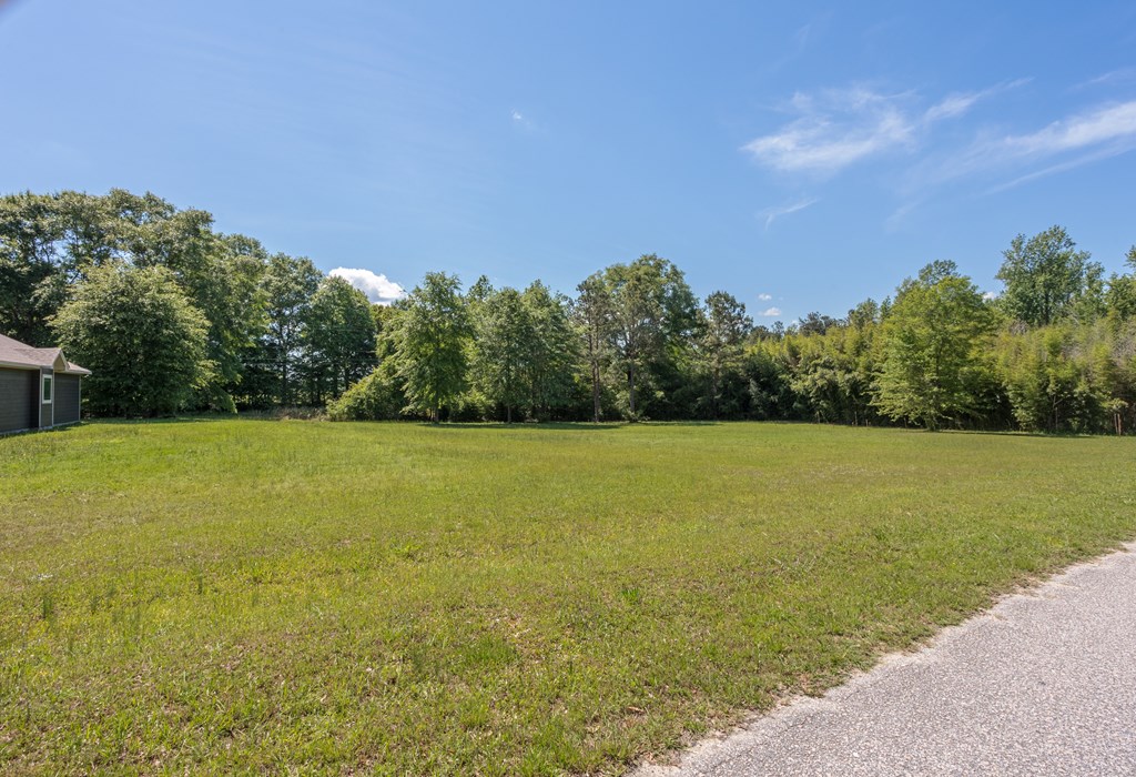 6 Sanders Road Phenix City, AL 36869 - Photo 8 of 23
