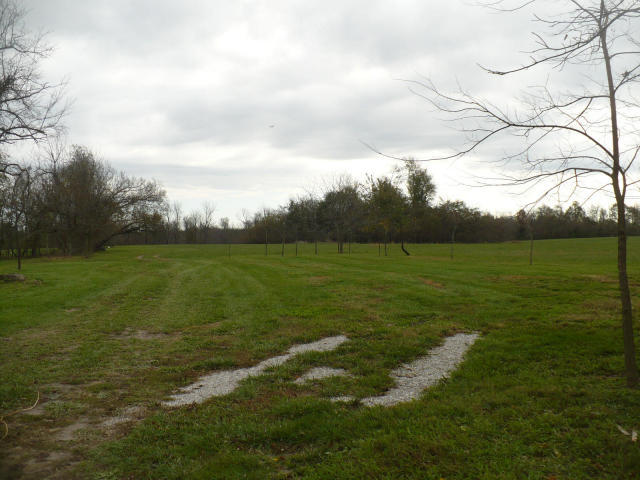 75 South Farm Road Republic, MO 65738 - Photo 1 of 1 goforth 20