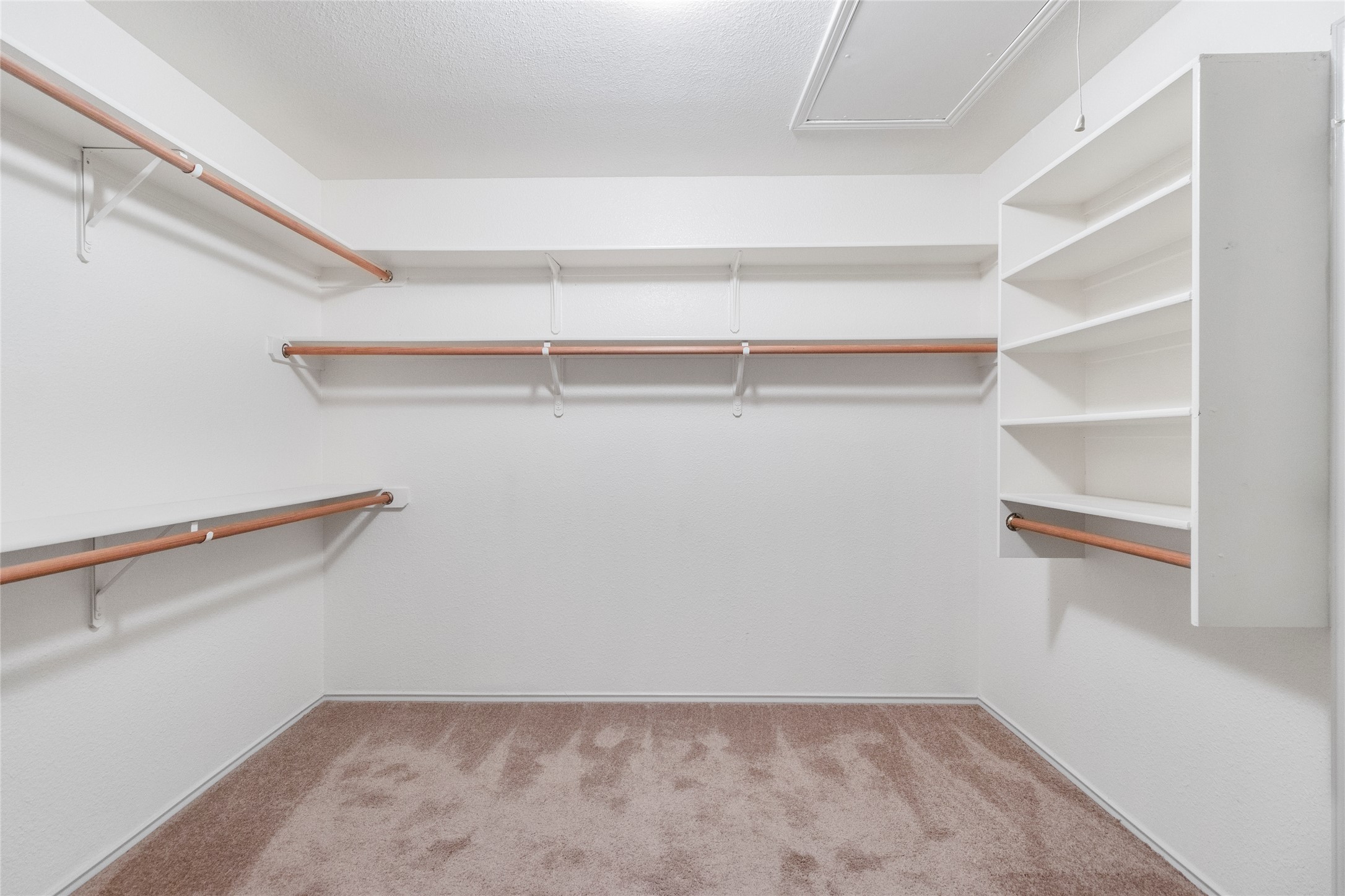 1424 Marsh Harbour Drive Round Rock, TX 78664 - Photo 12 of 23 Primary Closet