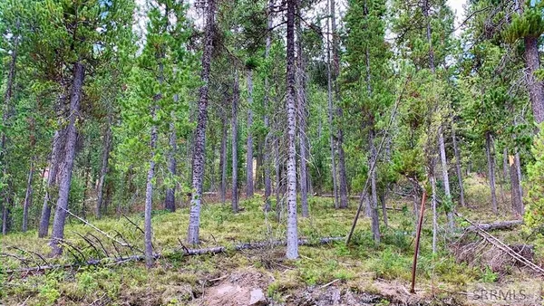 $309,000 | 4256 Mountain View Drive, Island Park, ID 83429