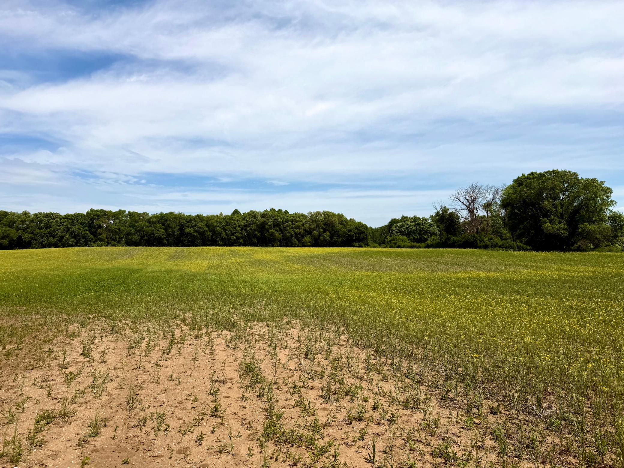 Tbd-10-ac 87th Street Southeast Becker, MN 55308 - Photo 22 of 23