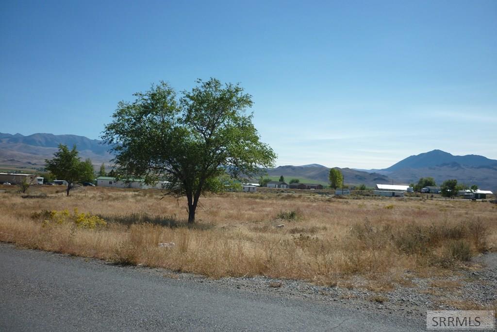 1723 Valley Avenue Challis, ID 83226 - Photo 3 of 6