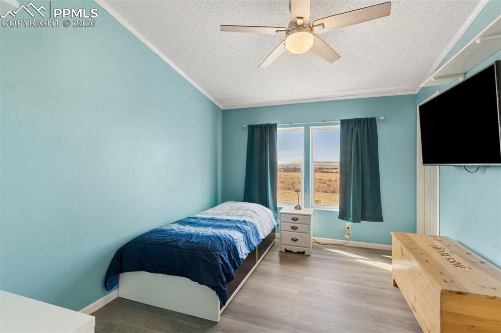 27560 Mid Jones Road Calhan, CO 80808 - Photo 23 of 34 1st Bedroom with Walk-In Closet