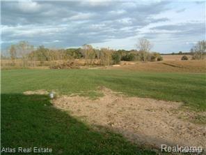 9353 Gale Road Goodrich, MI 48438 - Photo 10 of 10 back yard.jpg