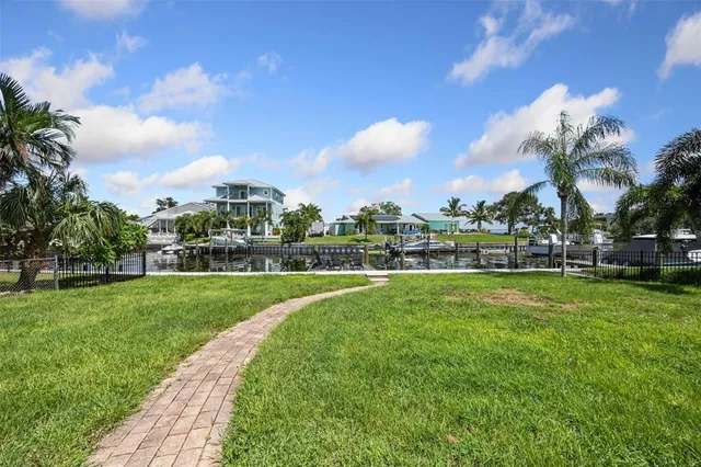a view of a park that has a large tree