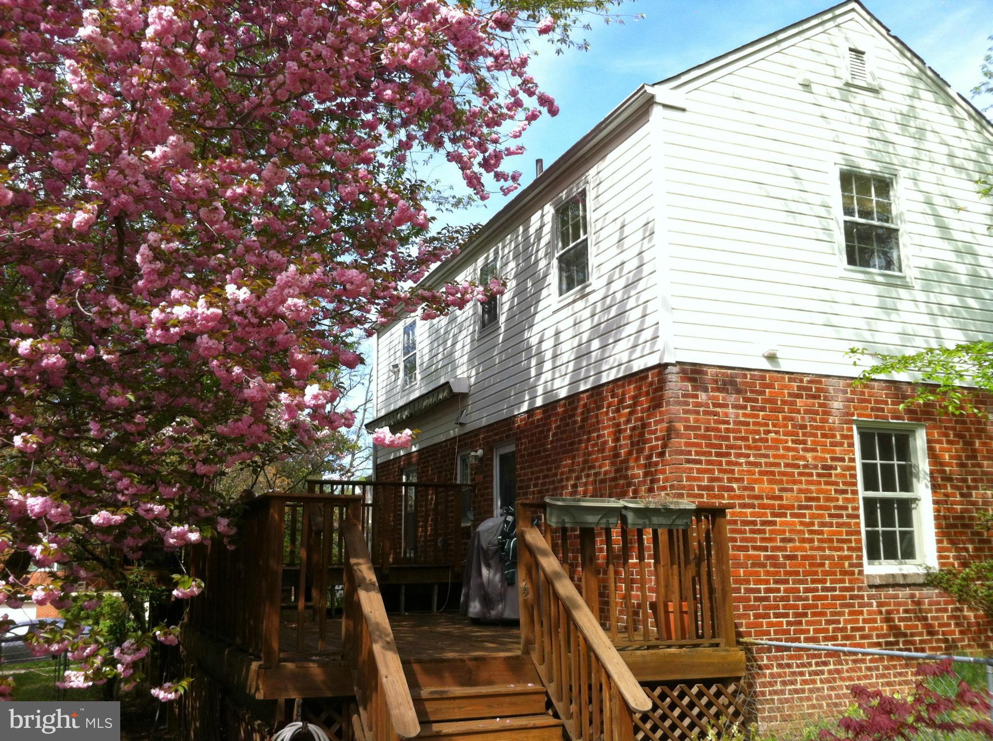9510 Warren Street Silver Spring, MD 20910 - Photo 27 of 28 Exterior (General)