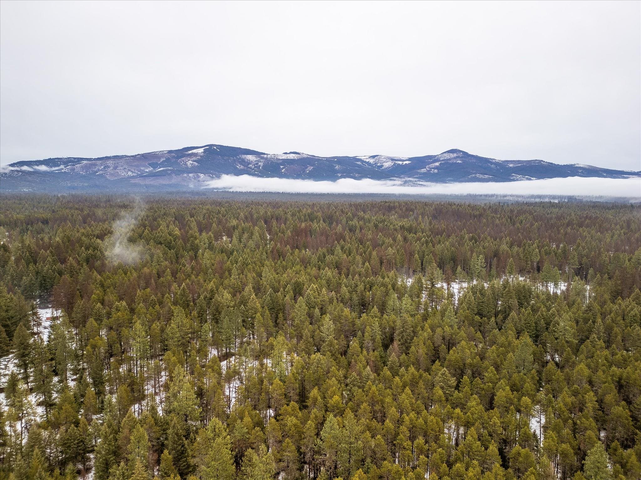 Nkn State Line Road, Unit S Newport, WA 99156 - Photo 3 of 6