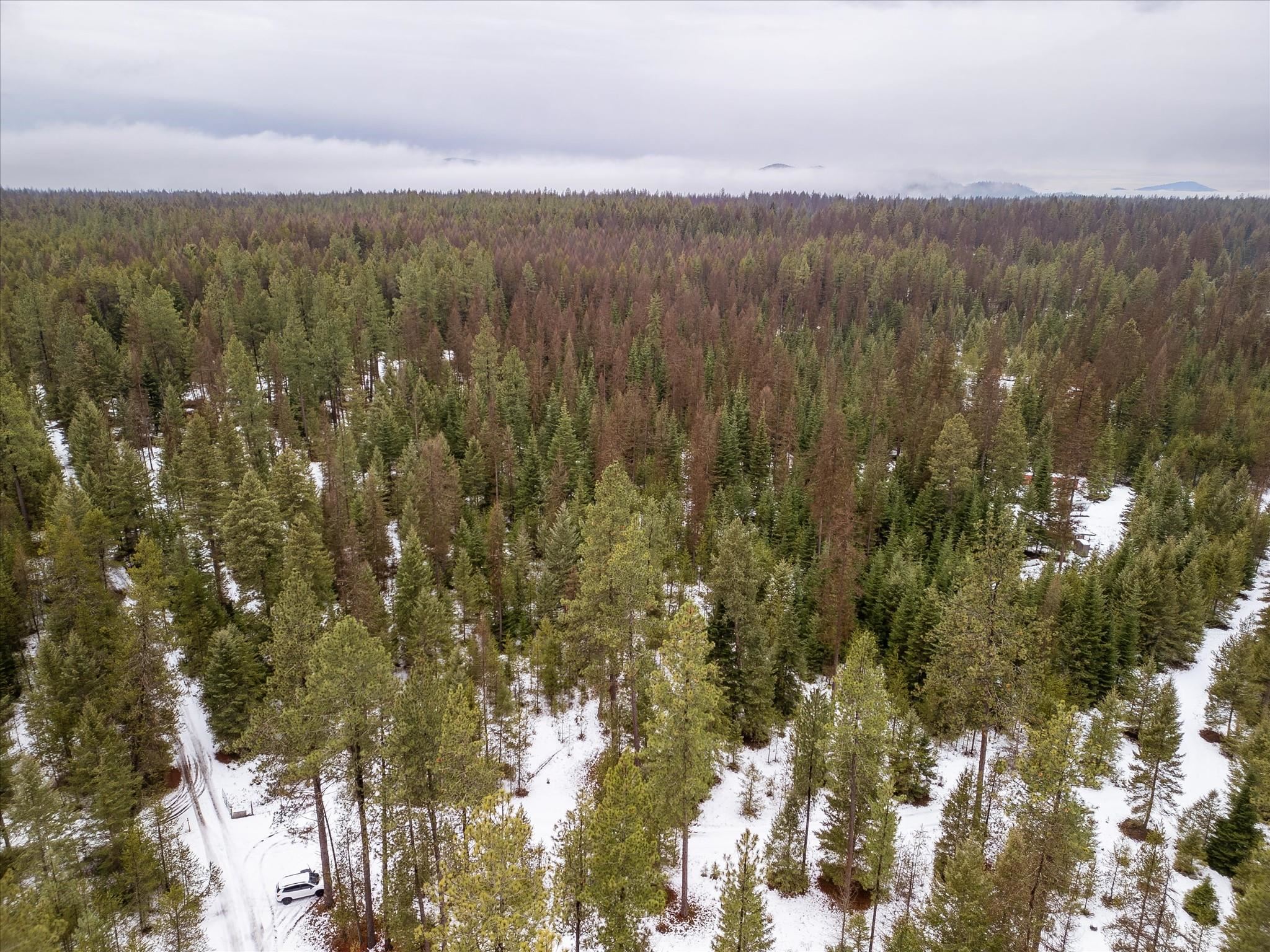 Nkn State Line Road, Unit S Newport, WA 99156 - Photo 4 of 6