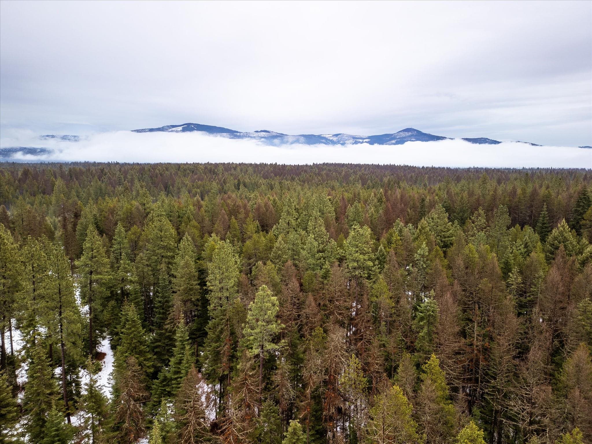 Nkn State Line Road, Unit S Newport, WA 99156 - Photo 5 of 6