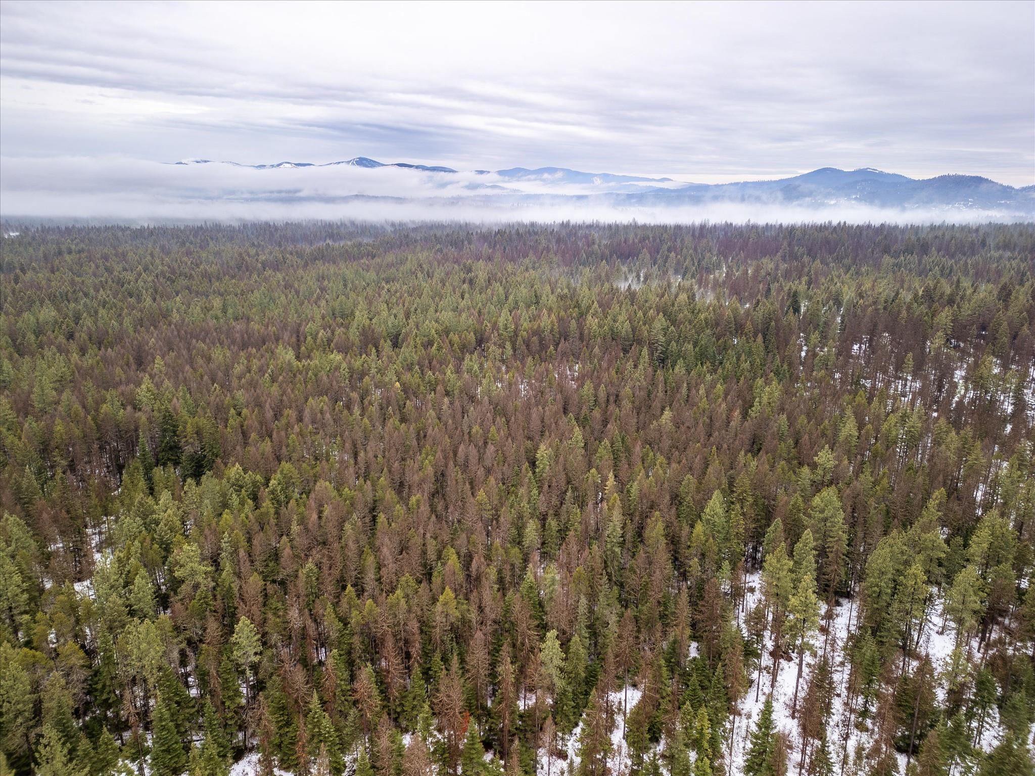 Nkn State Line Road, Unit S Newport, WA 99156 - Photo 6 of 6