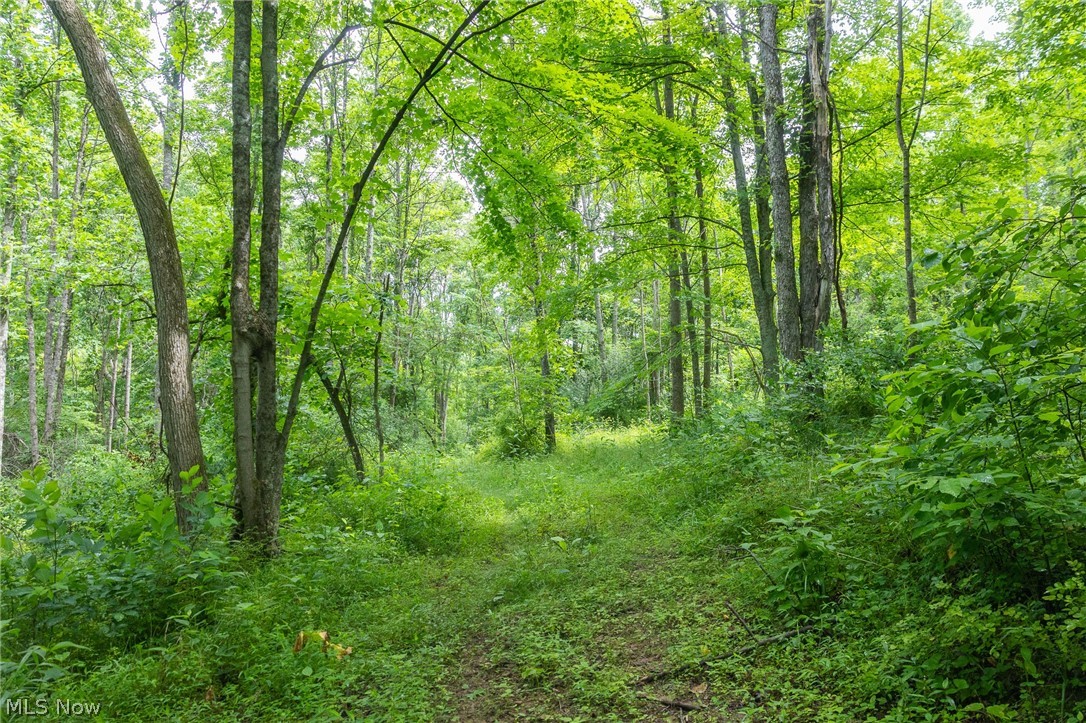 Kinnen Road Caldwell, OH 43724 - Photo 28 of 37
