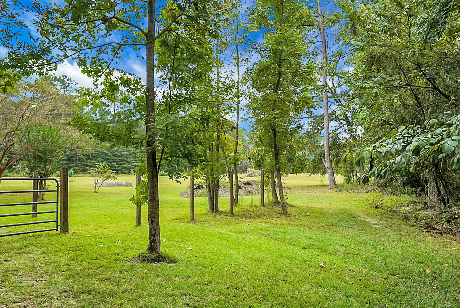 978 Independent School Road Reevesville, SC 29471 - Photo 59 of 65 DSC00985