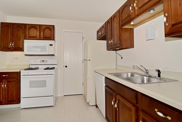 204 Maplebrook Court, Unit V2 Schaumburg, IL 60194 - Photo 5 of 13