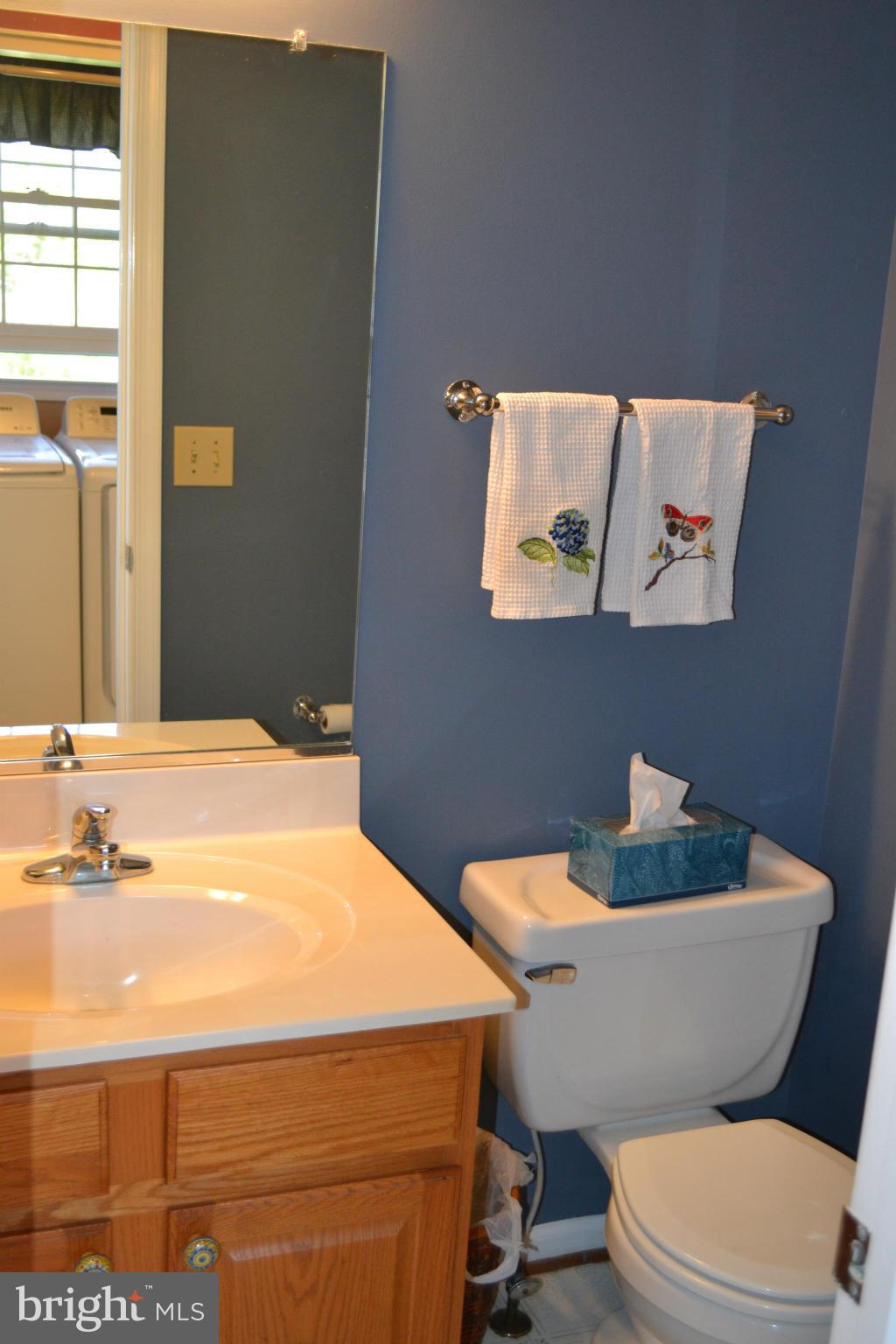 5901 Moore Road Marshall, VA 20115 - Photo 12 of 30 a bathroom with a sink and a mirror