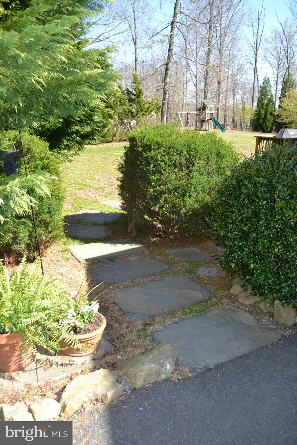5901 Moore Road Marshall, VA 20115 - Photo 26 of 30 a view of a yard with plants and large trees