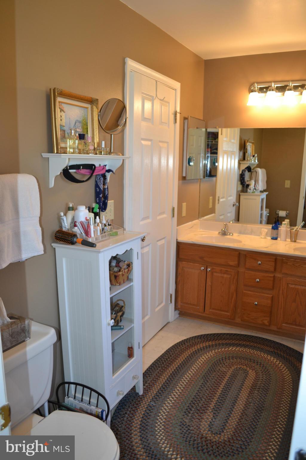 5901 Moore Road Marshall, VA 20115 - Photo 8 of 30 a bathroom with a sink mirror vanity and toilet