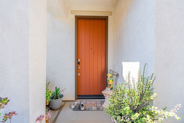 39580 Strada Pozzo Lake Elsinore, CA 92532 - Photo 5 of 67 a potted plant sitting in front of a door
